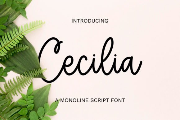 Cecilia: A Graceful Script Typeface for Modern Brand Identity