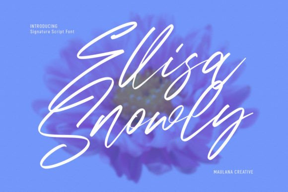 Ellisa Snowly: A Delicate Script Font for Modern Campaigns