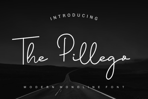 The Pillego: A Script Font for Modern Branding