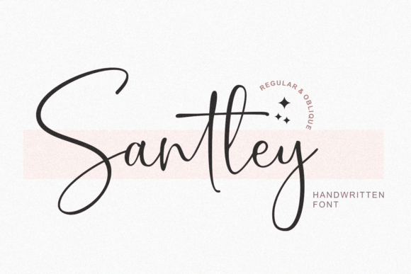 Why Santley Became the Heart of My Latest Web Design Project